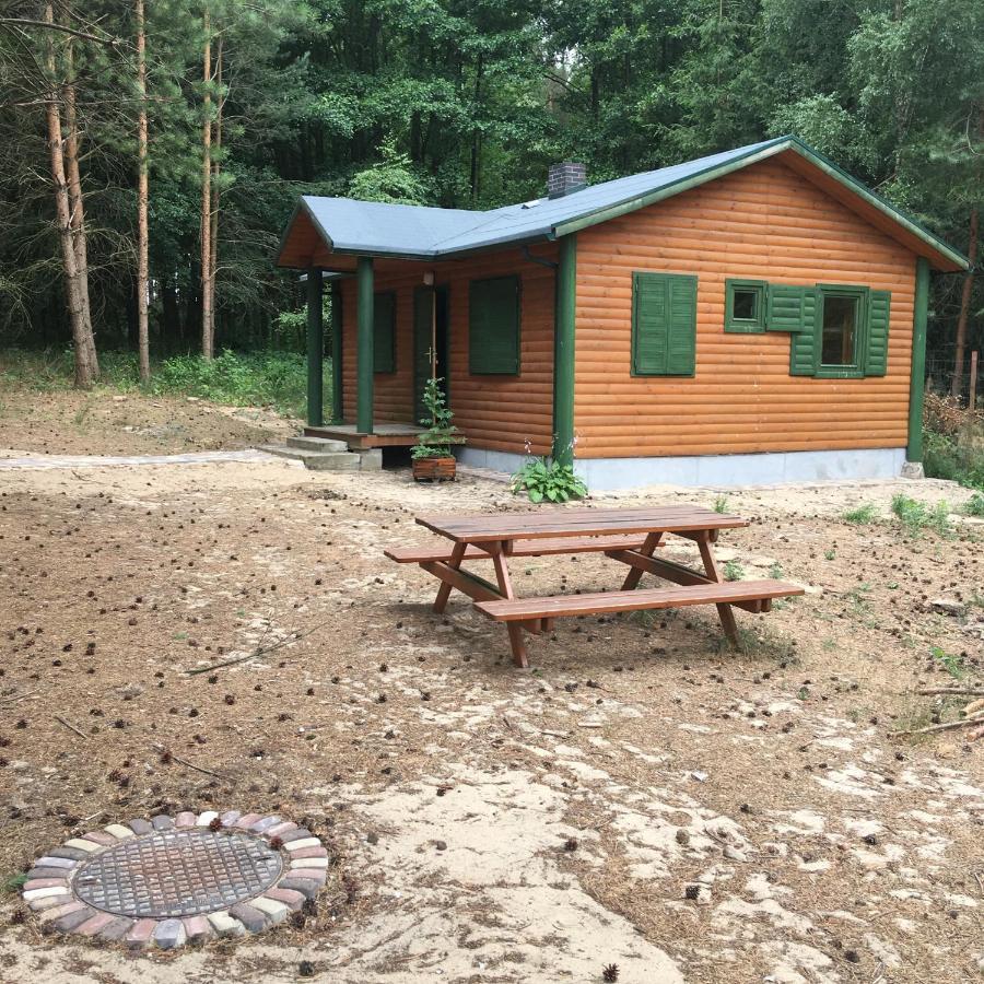 Agroturystyka Oaza Ciszy I Spokoju Miedzychod Экстерьер фото