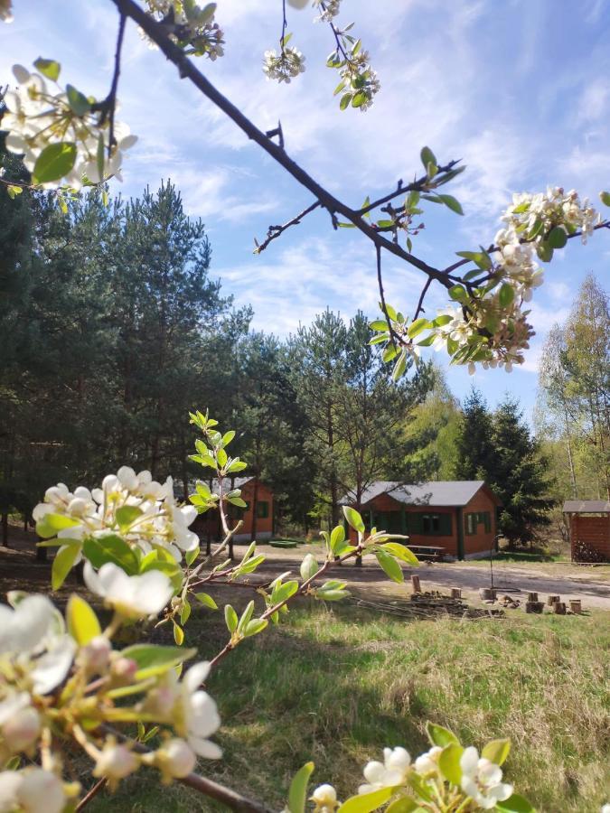 Agroturystyka Oaza Ciszy I Spokoju Miedzychod Экстерьер фото