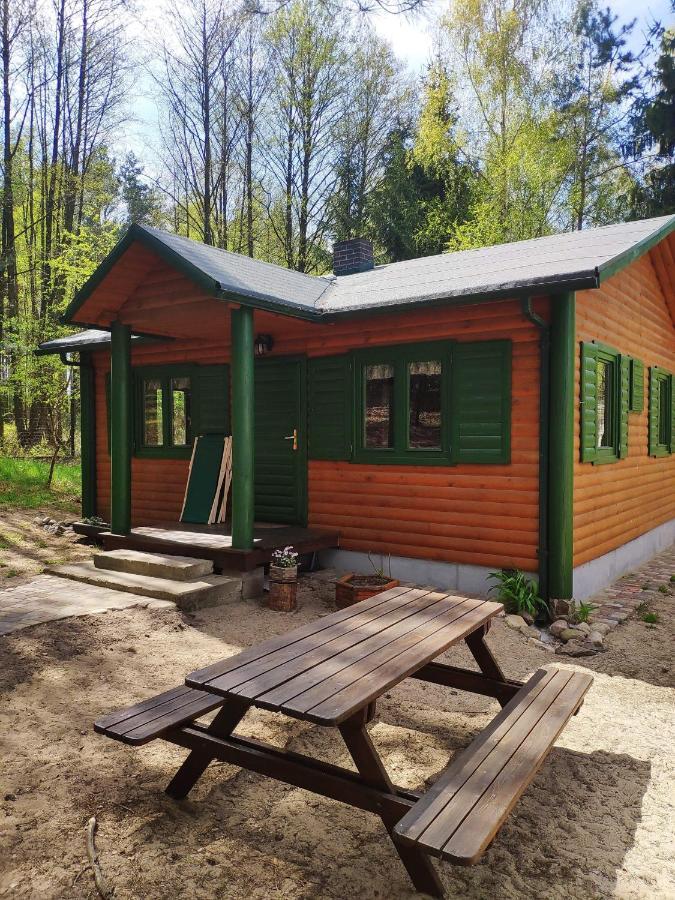 Agroturystyka Oaza Ciszy I Spokoju Miedzychod Экстерьер фото