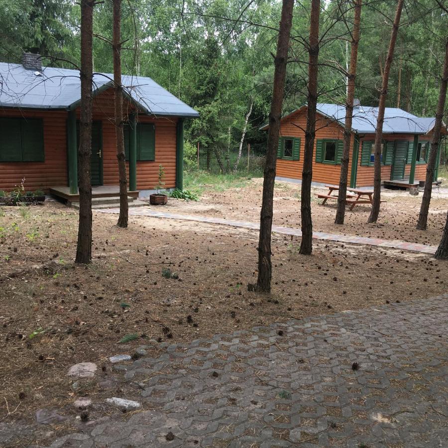 Agroturystyka Oaza Ciszy I Spokoju Miedzychod Экстерьер фото