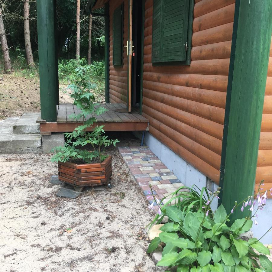 Agroturystyka Oaza Ciszy I Spokoju Miedzychod Экстерьер фото
