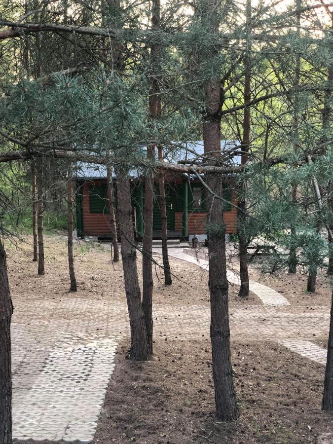 Agroturystyka Oaza Ciszy I Spokoju Miedzychod Экстерьер фото
