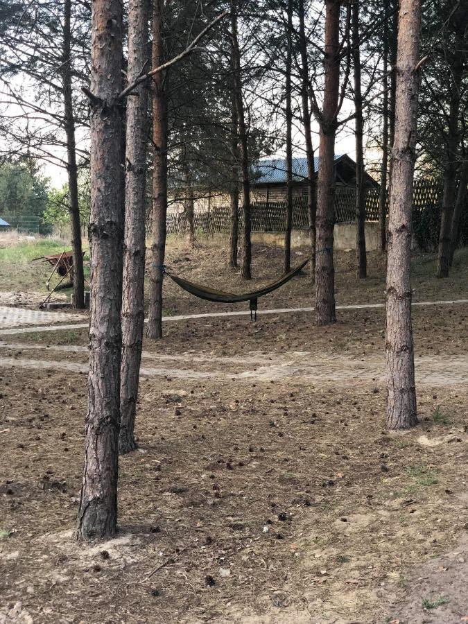 Agroturystyka Oaza Ciszy I Spokoju Miedzychod Экстерьер фото
