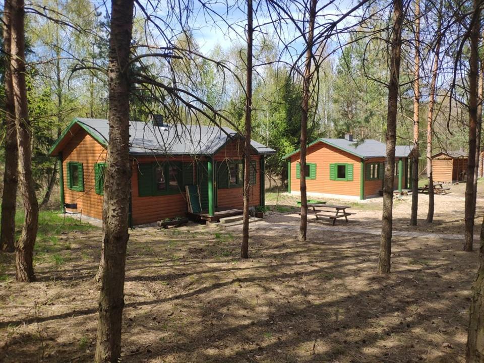 Agroturystyka Oaza Ciszy I Spokoju Miedzychod Экстерьер фото